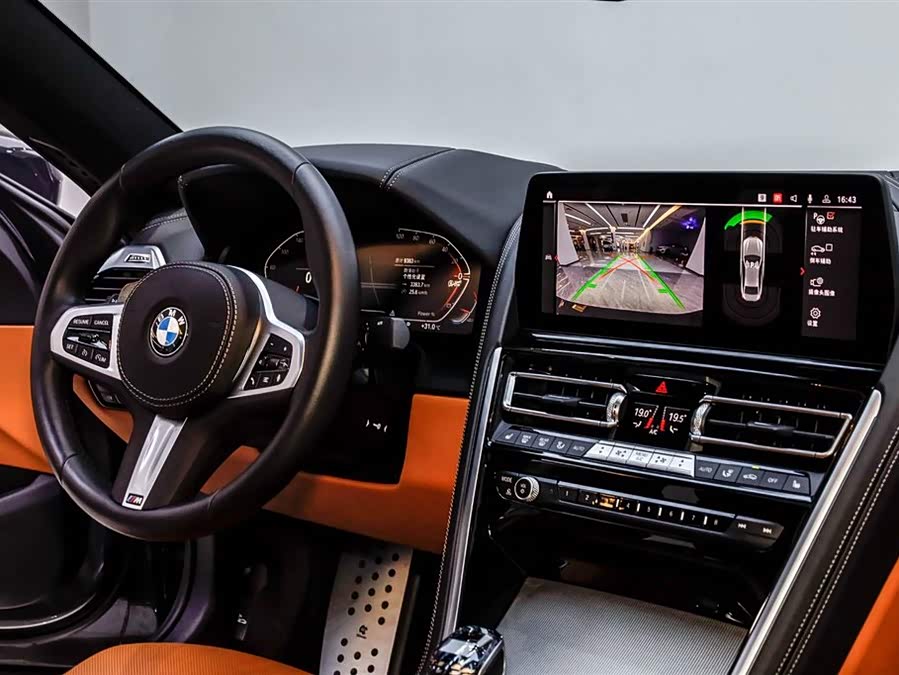 BMW 8 Series 2023 immagine di auto #19