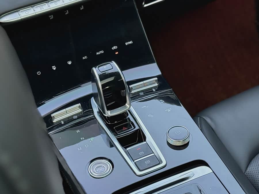 Chery Tiggo 8 Plus 2021 immagine di auto #19