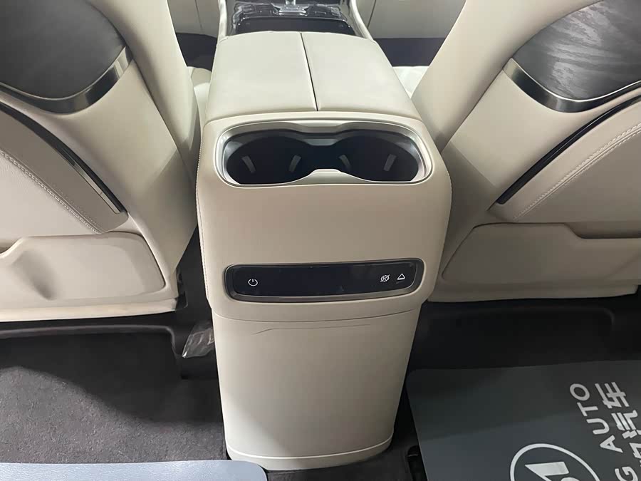 Denza D9 2025 imagen de coche #19