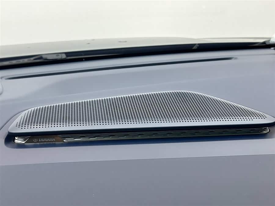 Zeekr 009 2025 imagem de carro #19