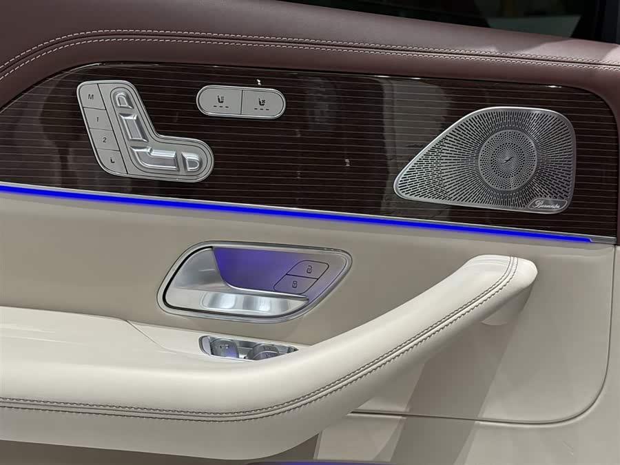 Mercedes-Benz Maybach GLS 2021 car image #19