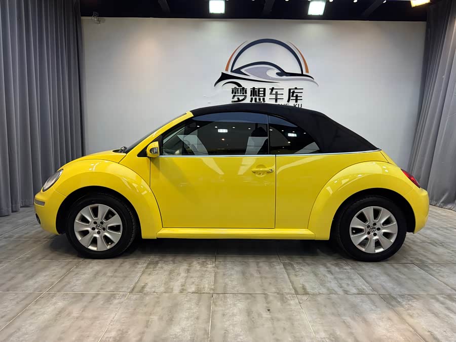 Volkswagen Beetle 2010 immagine di auto #19