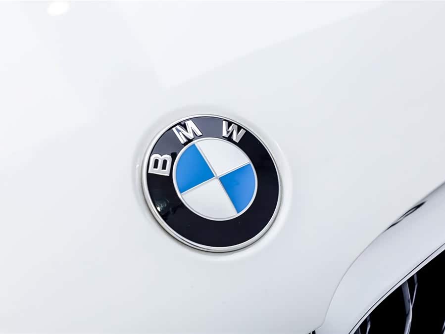 BMW 5 Series 2019 car image #19