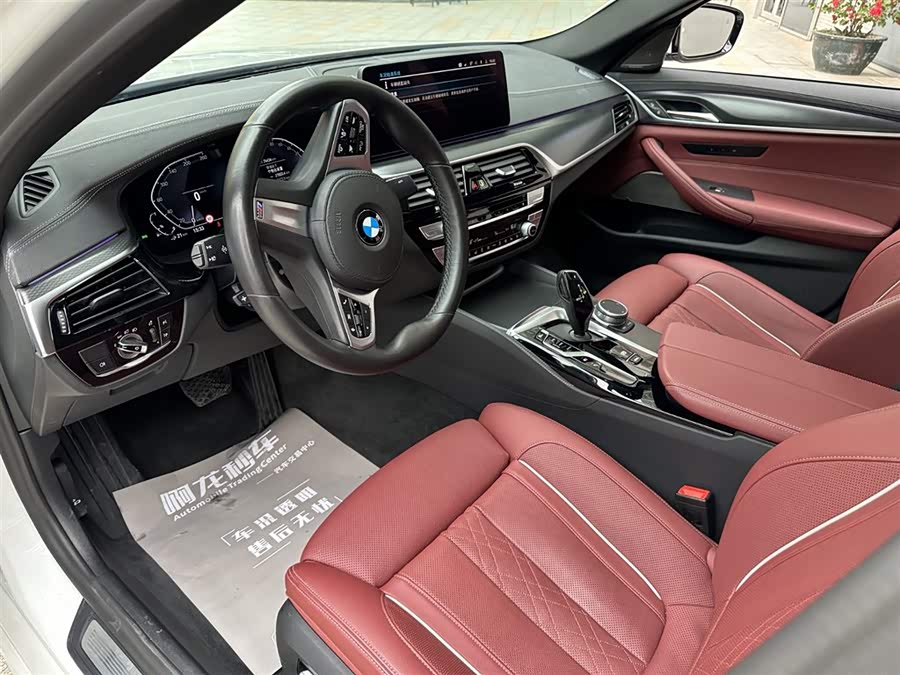 BMW 5 Series New Energy 2021 car image #19