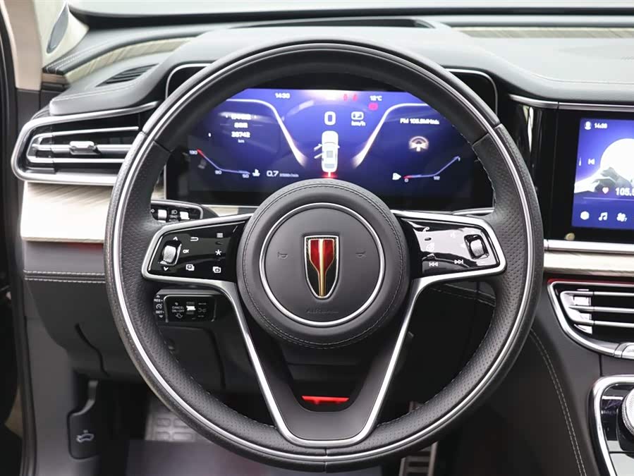 HongQi H9 2020 car image #19