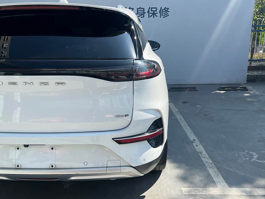 Denza N8 2023 car image #19