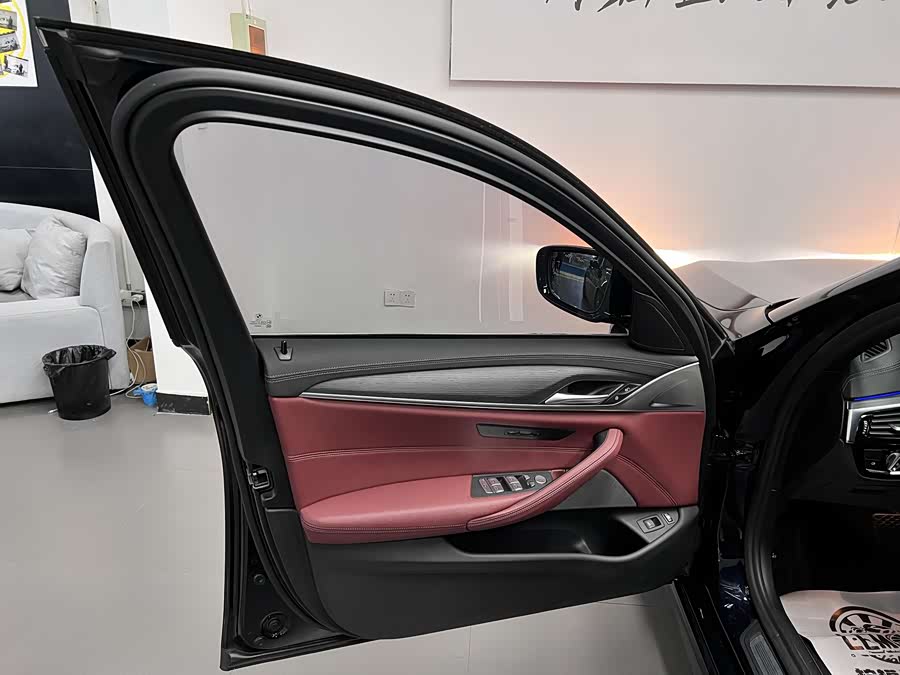 BMW 5 Series New Energy 2021 car image #19