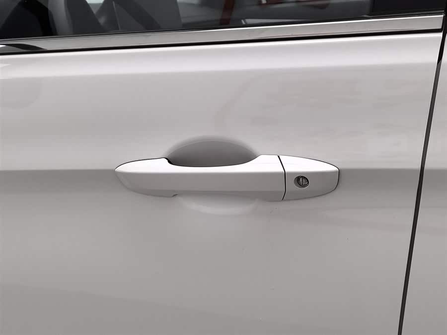 Forthing T5 2024 immagine di auto #19