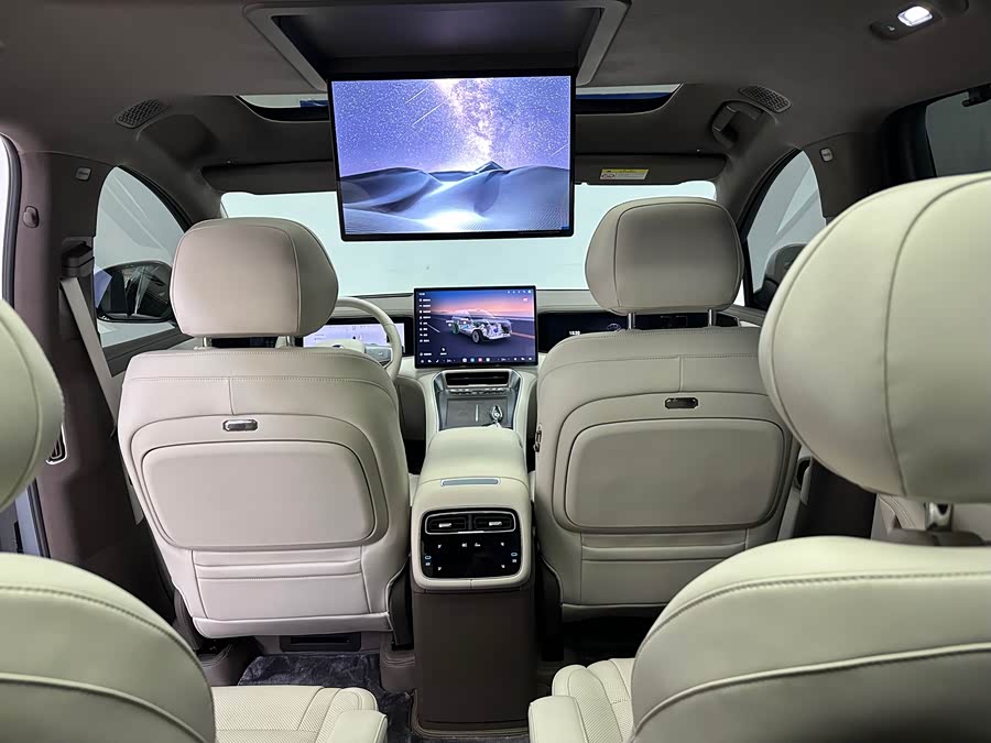 Denza 2025 car image #19