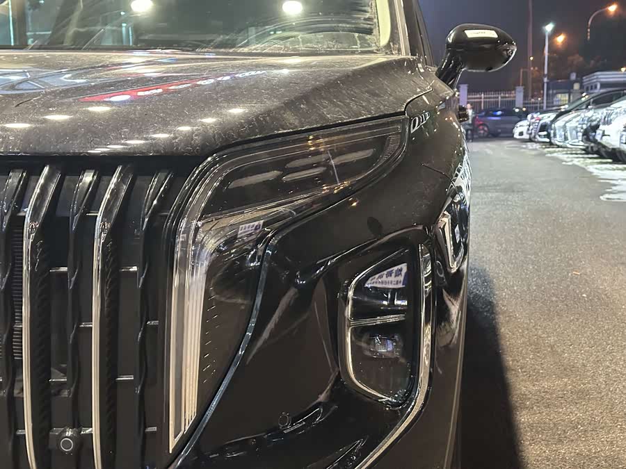 HongQi HS7 2024 car image #19