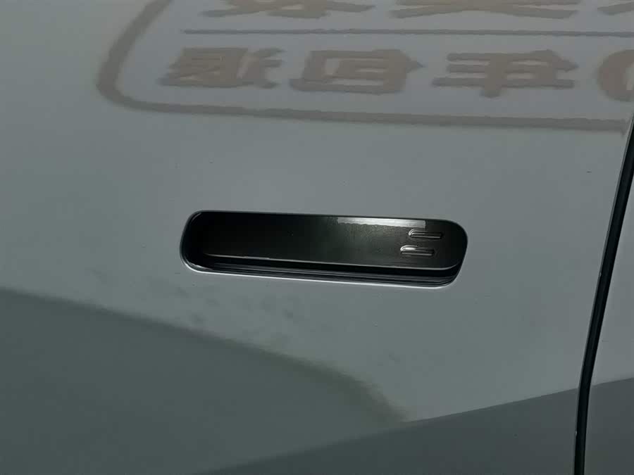 极氪 极氪X 2023 汽车图片 #19