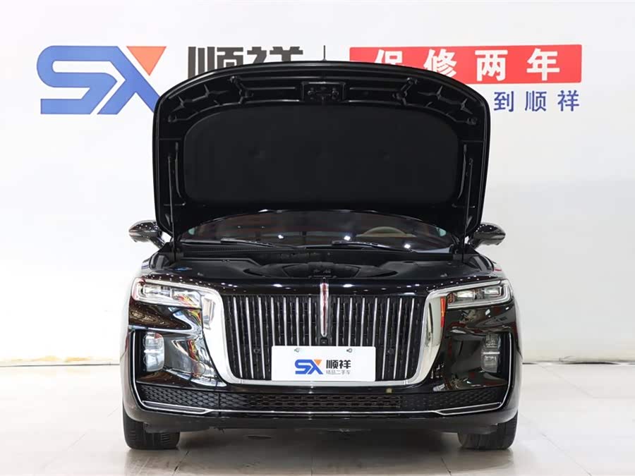 HongQi H9 2023 car image #19