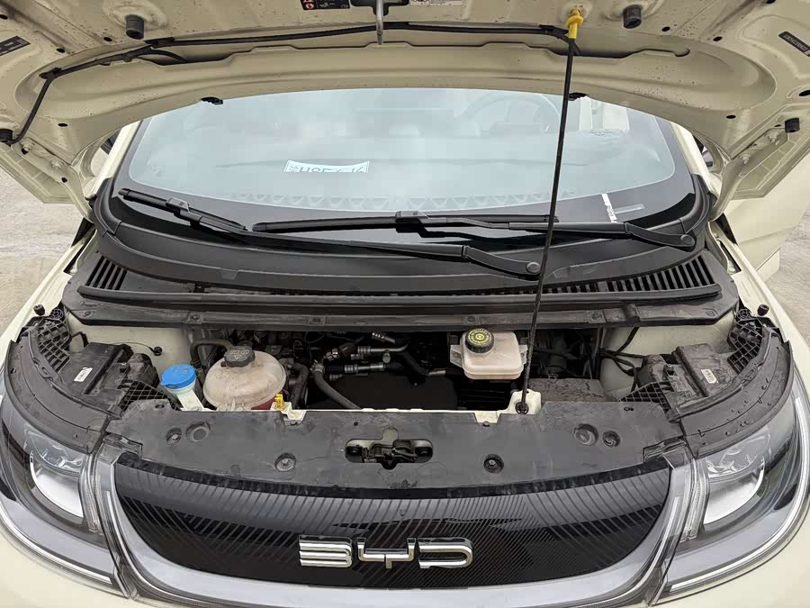 BYD Dolphin 2023 immagine di auto #19