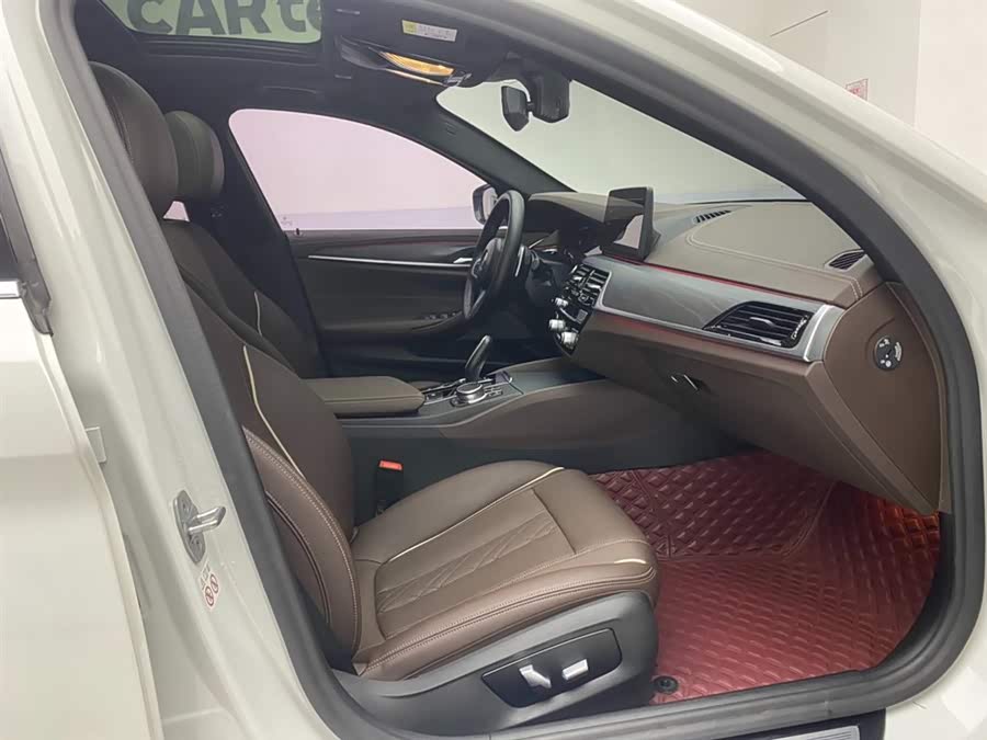BMW 5 Series 2021 car image #19