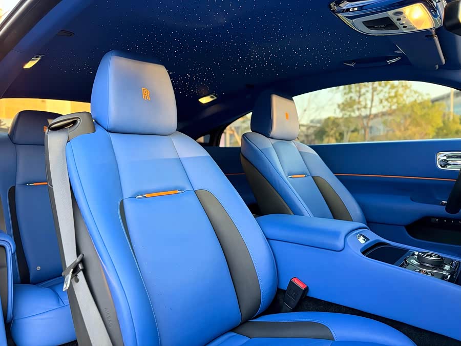 Denza Wraith 2017 car image #19