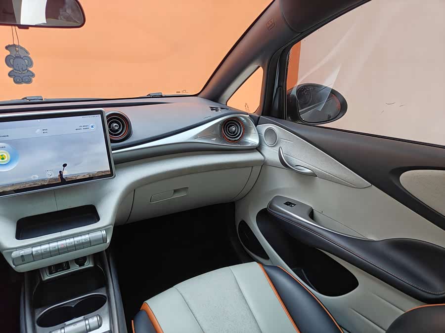 BYD Dolphin 2022 car image #19