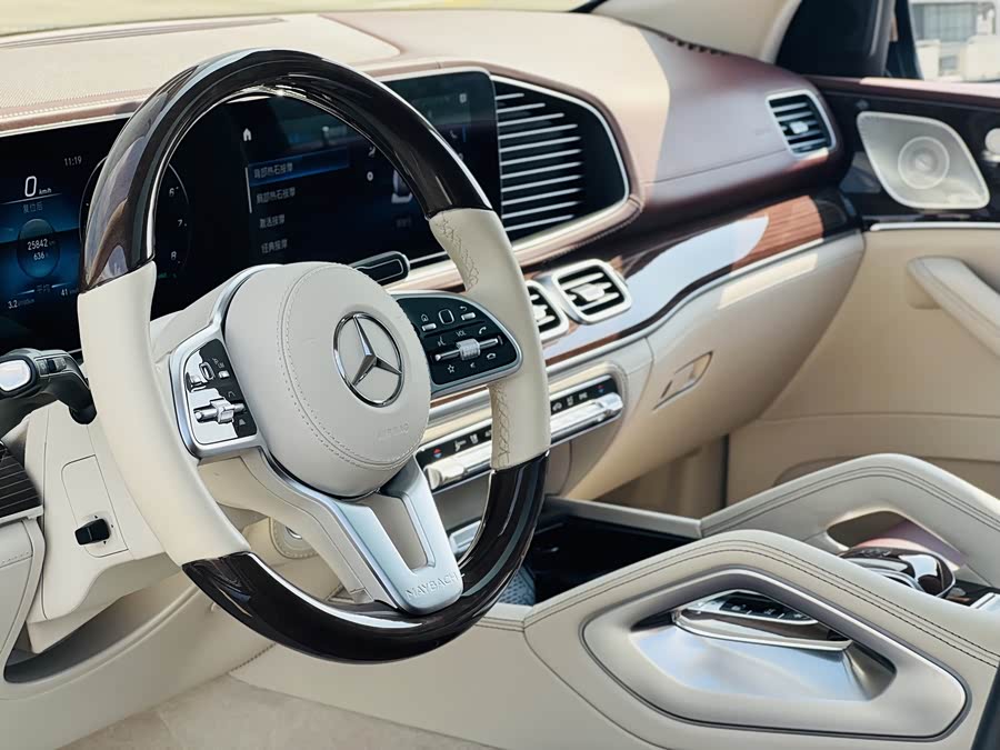 Mercedes-Benz Maybach GLS 2022 car image #19