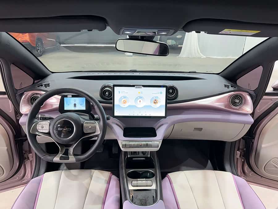BYD Dolphin 2022 #19 BYD Dolphin 2022 immagine di auto #19