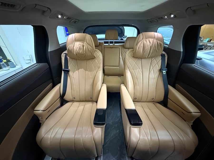 Denza D9 2023 car image #19