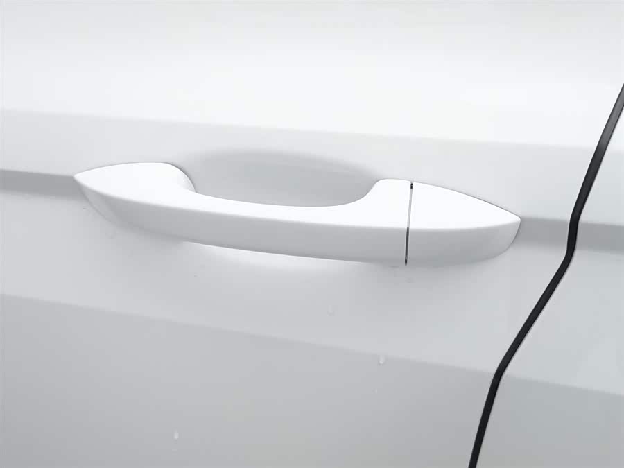 Volkswagen Bora 2024 car image #19