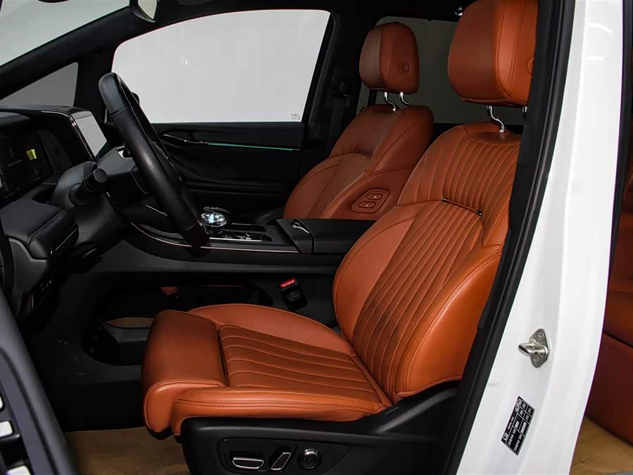 GAC Trumpchi E9 2024 car image #19