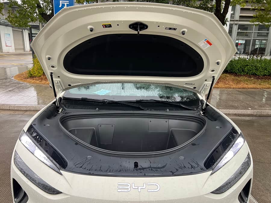 BYD Sea Lion 06 New Energy 2025 car image #19