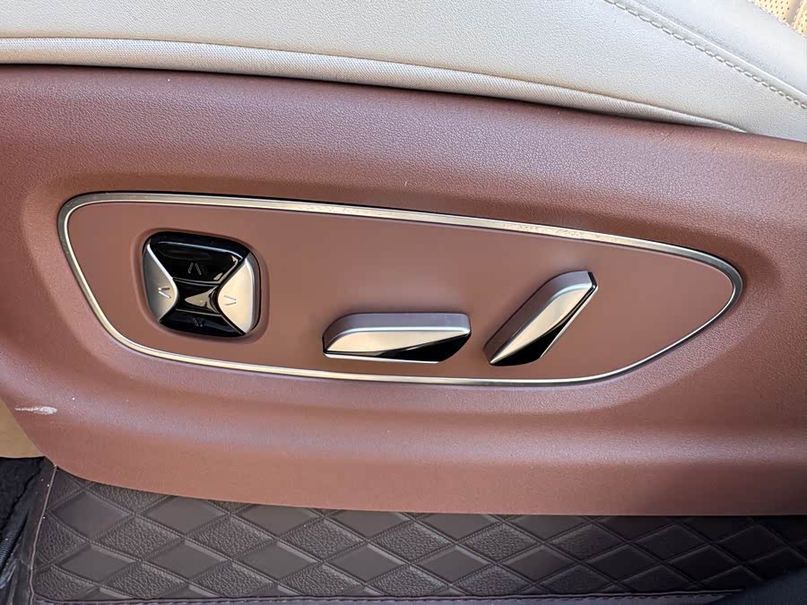 BYD Xia 2024 imagen de coche #19