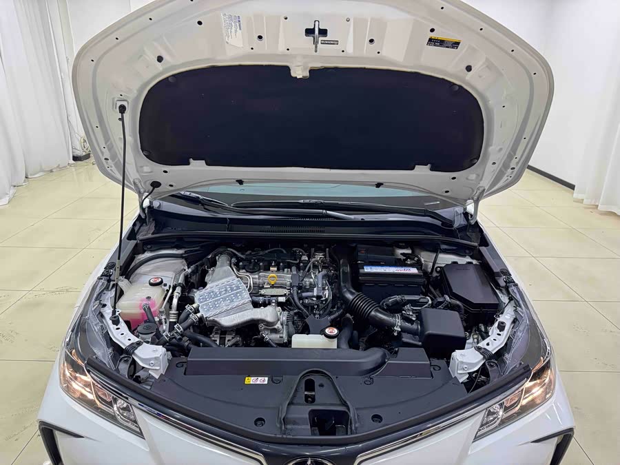 Toyota Corolla 2022 car image #19