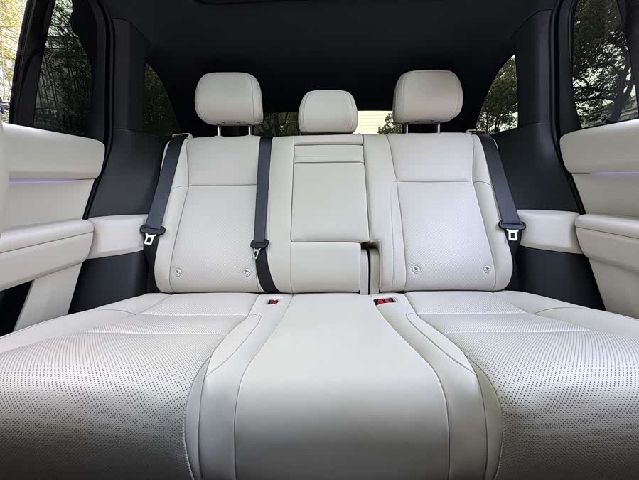 Li L6 2024 imagen de coche #19