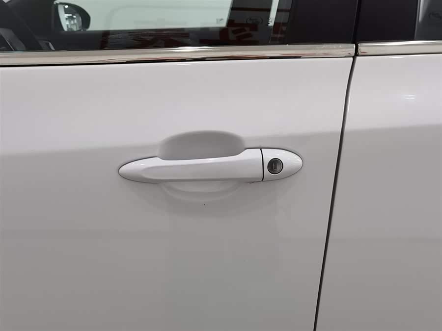 Chevrolet Monza 2020 car image #19