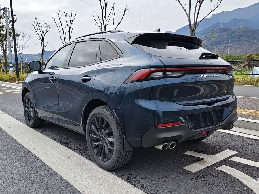 Forthing T5 EVO 2022 car image #19