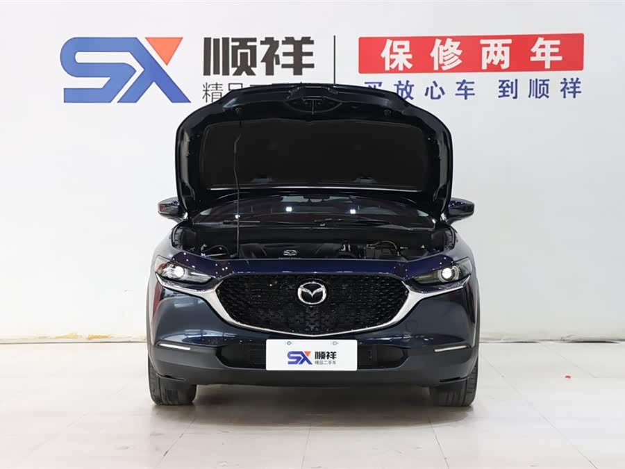 Mazda CX-30 2022 car image #19