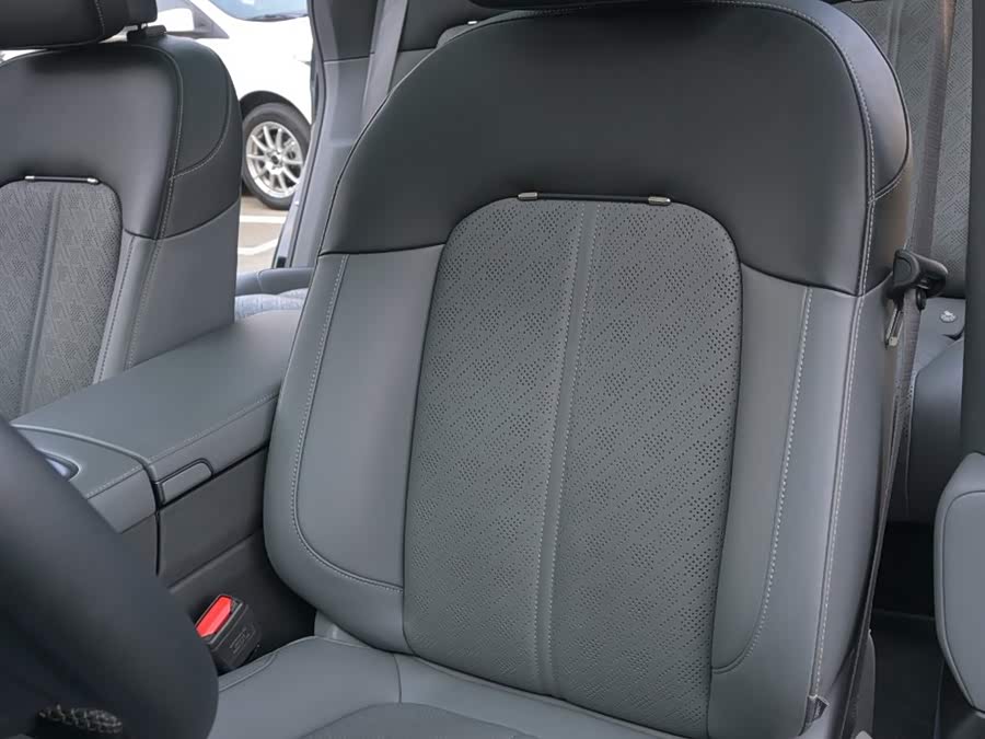 Zeekr 7X 2024 imagen de coche #19