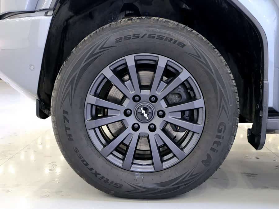 FangChengBao Leopard 5 2025 car image #19