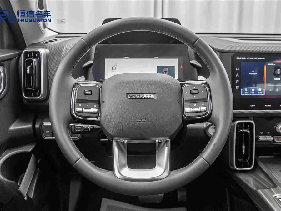 Haval X Dog / Dargo 2023 immagine di auto #19