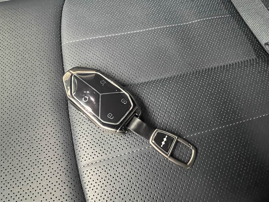 FangChengBao Tiger 7 2025 car image #19