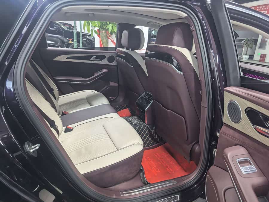 HongQi H9 2022 car image #19