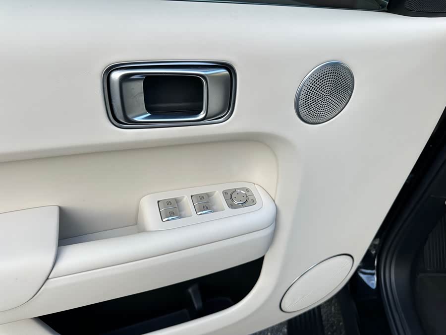 Li L9 2024 imagen de coche #19