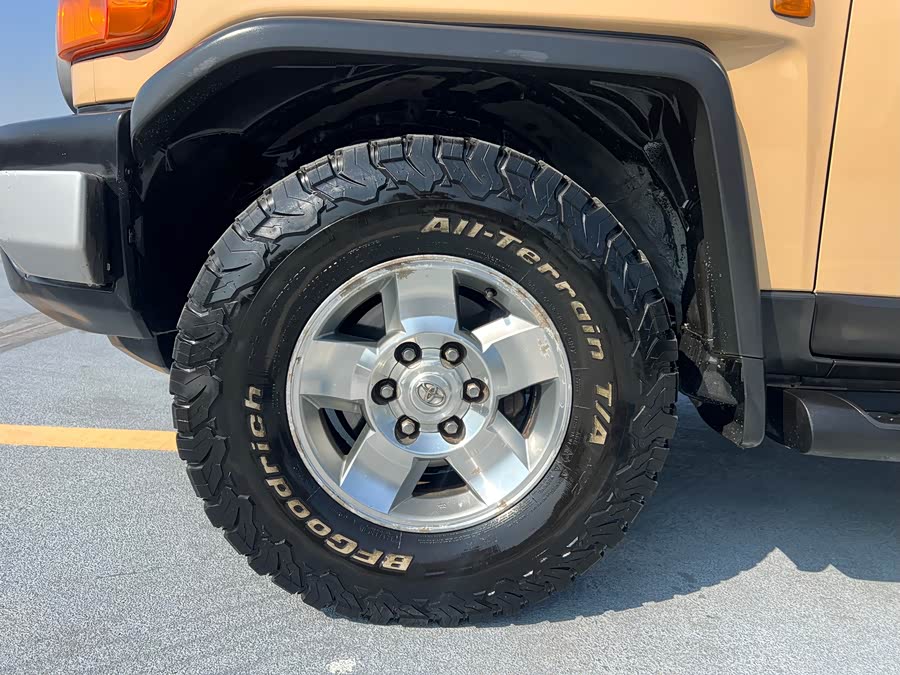 Toyota FJ Cruiser 2008 car image #19