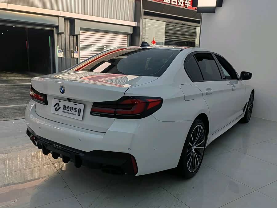 BMW 5 Series 2022 car image #19