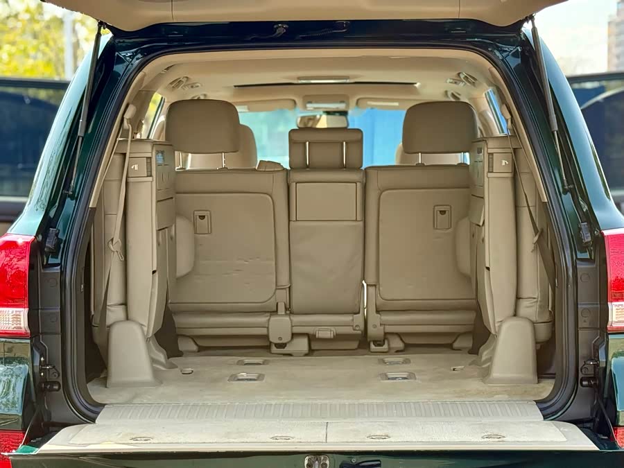 Toyota Land Cruiser 2008 car image #19