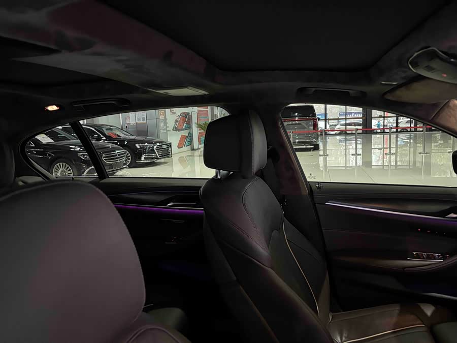 BMW 5 Series New Energy 2022 car image #19