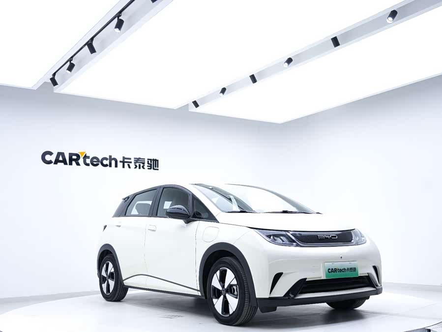 BYD Dolphin 2023 car image #19