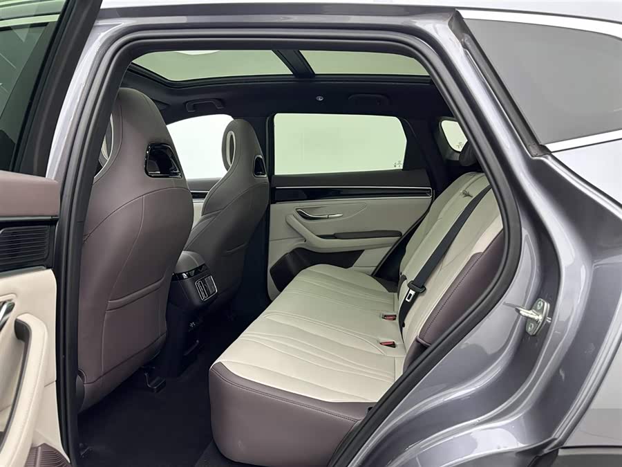 BYD Song Plus New Energy 2025 car image #19