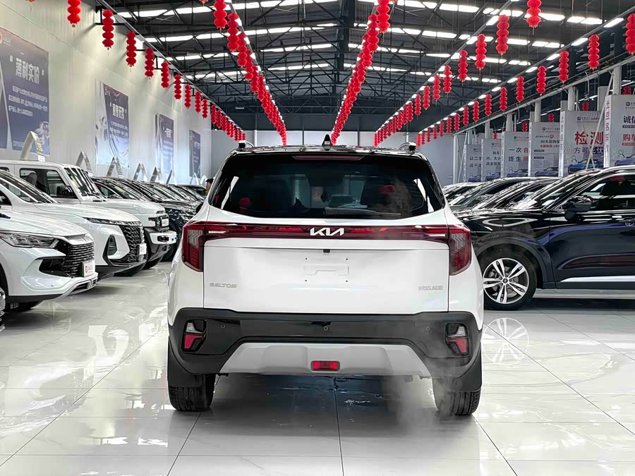Kia Seltos 2024 imagen de coche #19