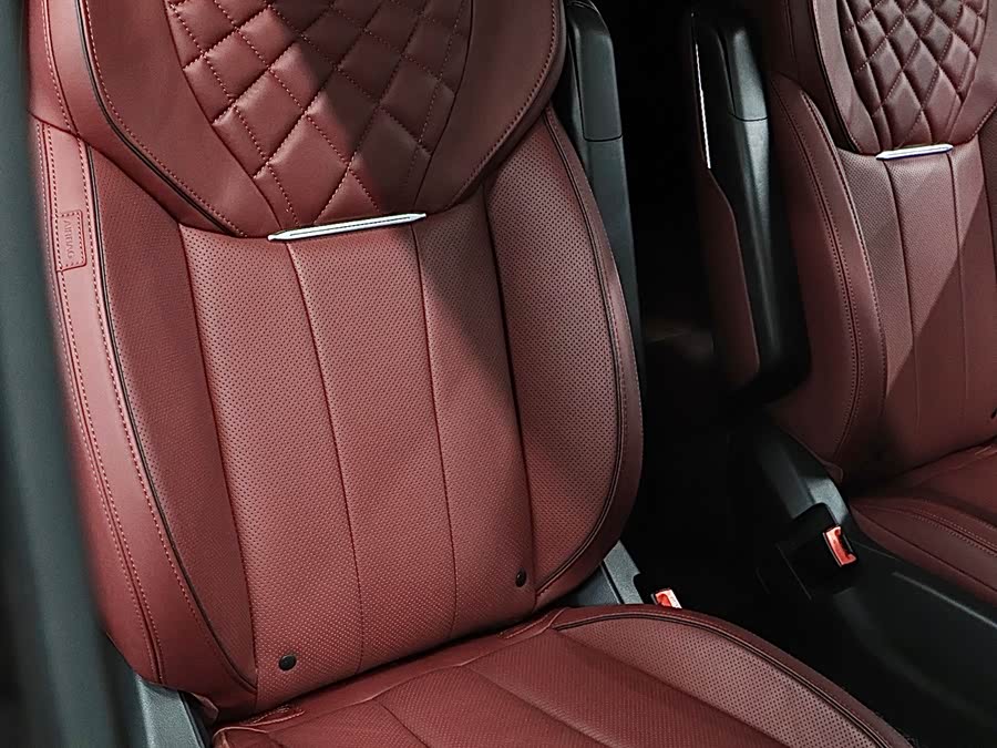 HongQi E-HS9 2023 immagine di auto #19