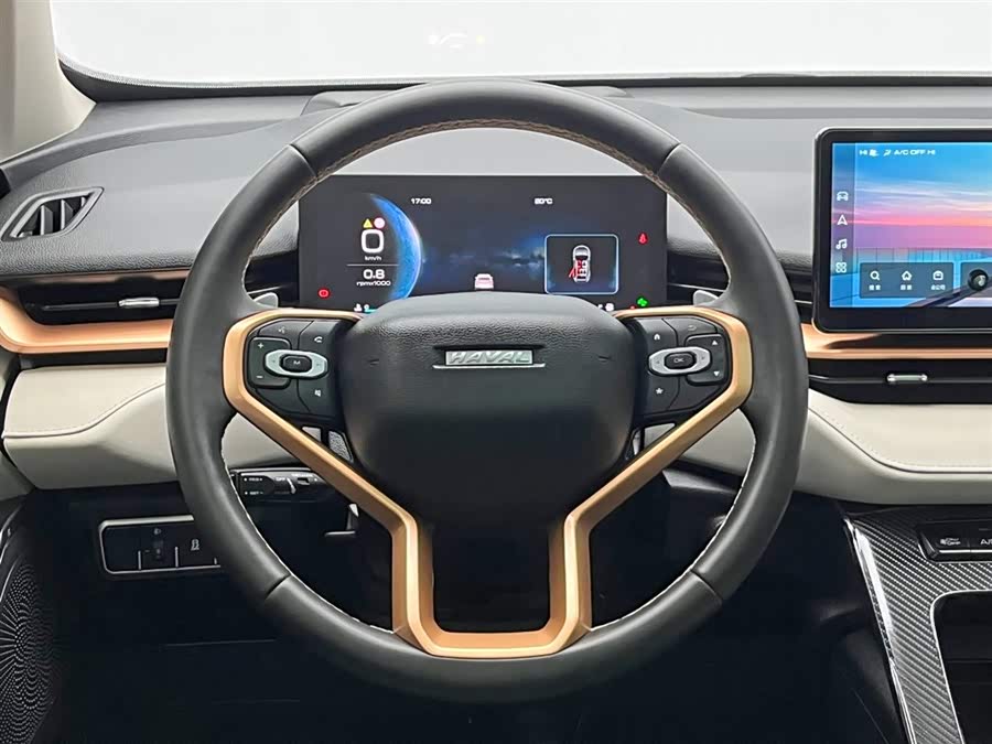 Haval H6 2023 car image #19