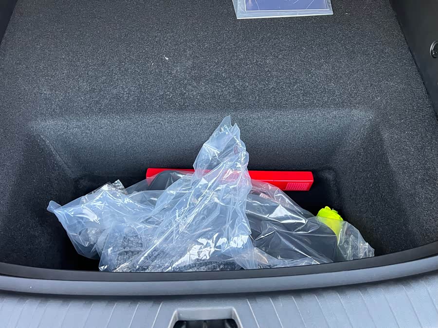 BYD Sea Lion 06 New Energy 2025 car image #19