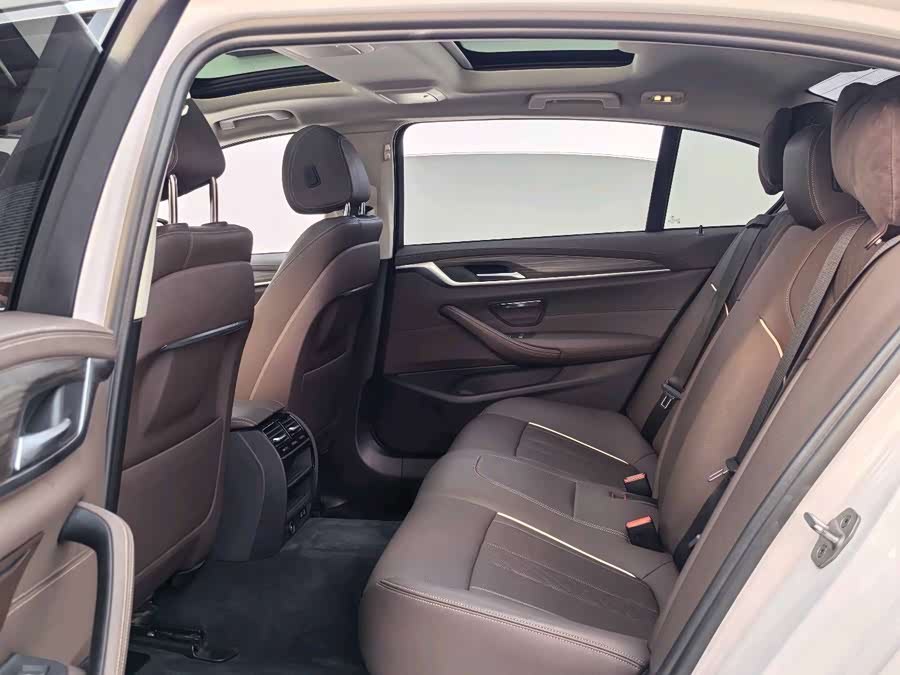 BMW 5 Series 2021 car image #19