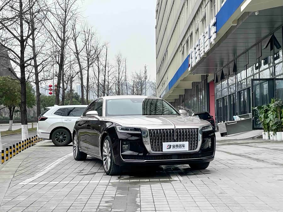 HongQi H9 2022 immagine di auto #19